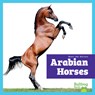 Arabian Horses - Rachel Grack - 9798892139427