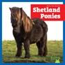 Shetland Ponies - Rachel Grack - 9798892139519