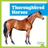 Thoroughbred Horses - Rachel Grack - 9798892139540
