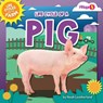 Life Cycle of a Pig - Noah Leatherland - 9798892324885