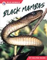 Black Mambas - Dalton Rains - 9798892505451