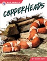 Copperheads - Abby Doty - 9798892505833