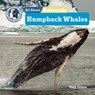 All about Antarctic Humpback Whales - Meg Greve - 9798892605168