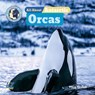 All about Antarctic Orcas - Meg Greve - 9798892605182