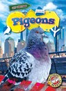 Pigeons - Betsy Rathburn - 9798893042184