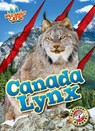 Canada Lynx - Shannon Anderson - 9798893042528