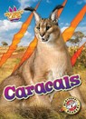 Caracals - Shannon Anderson - 9798893042535