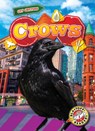 Crows - Mari C. Schuh - 9798893044287