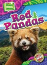 Red Pandas - Chris Bowman - 9798893044737