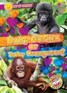 Baby Gorilla or Baby Orangutan? - Mari C. Schuh - 9798893047721