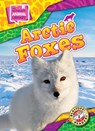 Arctic Foxes - Chris Bowman - 9798893047882