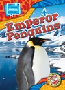 Emperor Penguins - Janie Scheffer - 9798893047936