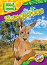 Kangaroos - Janie Scheffer - 9798893047950