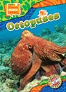 Octopuses - Chris Bowman - 9798893047967