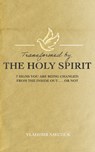 Transformed by the Holy Spirit - Vladimir Savchuk - 9798893140415
