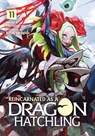 Reincarnated as a Dragon Hatchling (Light Novel) Vol. 11 - Necoco - 9798893734669