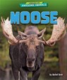 Moose - Rachel Rose - 9798895770467
