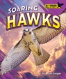 Soaring Hawks - Bryan Langdo - 9798895770566