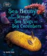 Sea Bunny and Other Strange Sea Slugs and Sea Cucumbers - Rachel Rose - 9798895776339