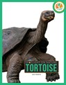 Tortoise - Jen Frantz - 9798895810835