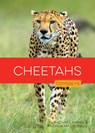 Cheetahs - Rachael Hanel - 9798895811450