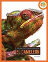 El Cameleón - Jen Frantz - 9798895813140