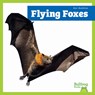 Flying Foxes - Lily Austen - 9798896621942