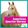 American Quarter Horses - Rachel Grack - 9798896622307