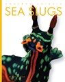 Sea Slugs - Ashley Gish - 9798896800125