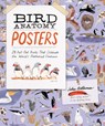Bird Anatomy Posters: 28 Pull-Out Prints That Celebrate the World's Feathered Creatures - Julia Rothman - 9798897080748