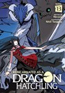 Reincarnated as a Dragon Hatchling (Light Novel) Vol. 13 - Necoco - 9798897654529