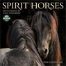 Spirit Horses 2024 Calendar -  - 9798898000240