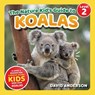 The Nature Kid's Guide to Koalas - David Anderson - 9798898181147