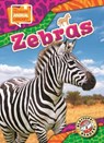 Zebras - Janie Scheffer - 9798898800444