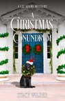 A Christmas Conundrum - Stacy Wilder - 9798985426670