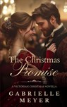 A Christmas Promise: A Victorian Christmas Novella - Gabrielle Meyer - 9798987031308