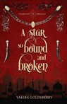 A Star so Bound and Broken - Yakira Goldsberry - 9798987287378