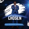 Chosen: Volume 1 - Rich P. Successful - 9798987374696