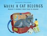 Where a Cat Belongs: Murzyk's Journey from Texas to Ukraine - Jacob Bourgeois - 9798989617715