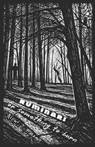 Ruminari, or Something to Burn - Nick J Frost - 9798996419708