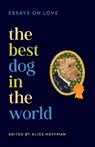 The Best Dog in the World - Alice Hoffman - 9781398562363