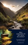 Wat gebeurde er met mijn beloning? - Peter Blokland - 9789403785806