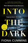 Into the Dark - Fiona Cummins - 9781529040166