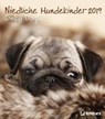 Niedliche Hundekinder 2019 -  - 4002725960252