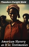 American Slavery as It is: Testimonies - Theodore Dwight Weld ; Fiona Merriweather - 8596547774396
