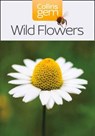 Wild Flowers - Tbd - 9780007178544