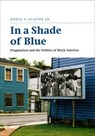 In a Shade of Blue - Eddie S. Glaude - 9780226298269