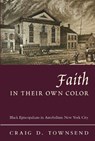 Faith in Their Own Color - Craig D. Townsend - 9780231134699