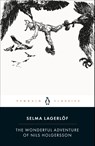 The Wonderful Adventure of Nils Holgersson - Selma Lagerlof - 9780241206096
