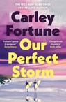 Our Perfect Storm - Carley Fortune - 9780241813799
